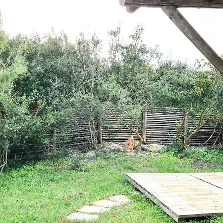 Lägenhet La Casa Sulle Dune! Punta Prosciutto, Le
