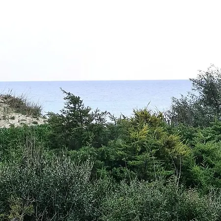 Appartamento La Casa Sulle Dune! Punta Prosciutto, Le